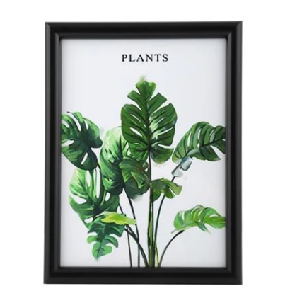 10072021_1171236$Imagec1