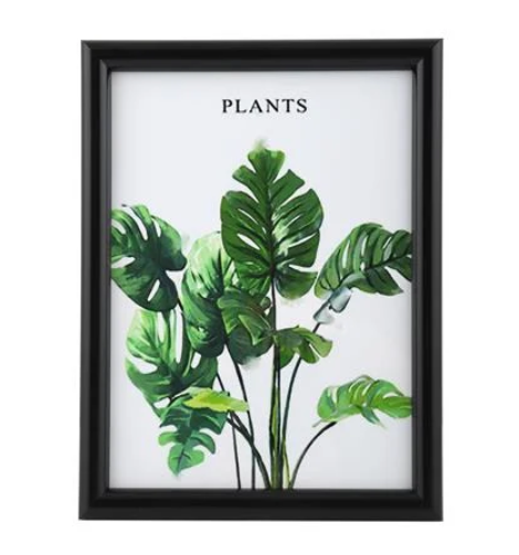 10072021_1171236$Imagec1