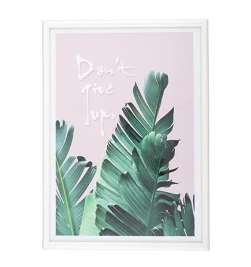 26122024_1171303$Imagec1