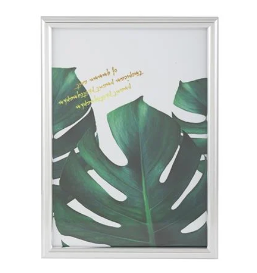 26122024_1172081$Imagec1