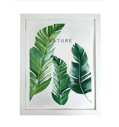 27012025_1231221$Imagec1