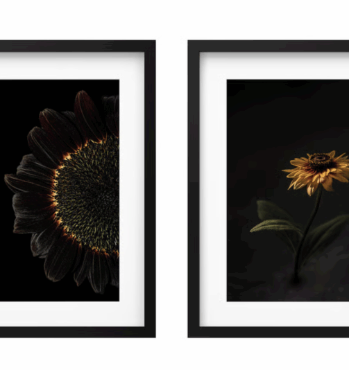 Screenshot 2568-07-13 at 13.11.22