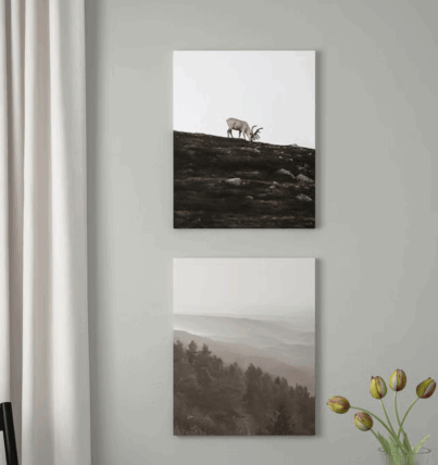 Screenshot 2568-07-13 at 13.20.35